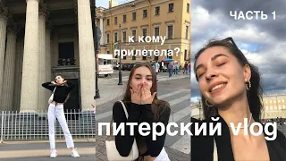 VlOG #3 СПБ |Мой первый раз в Питере|Улетела одна?