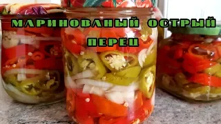 Пальчики оближешь. Маринованный острый перец халапеньо.