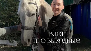 влог / выходные / куда сходить с детьми на выходных / Новосибирск / пеку вафли