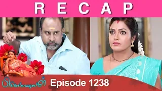 RECAP : Priyamanaval Episode 1238, 09/02/19