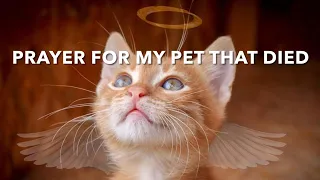 Prayer for My Pet That Died