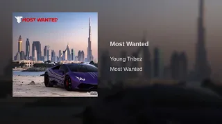 Young Tribez - Most Wanted ( Official Audio  )