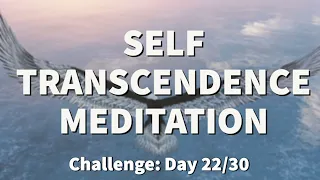 Meditation for TRANSCENDENCE - Transcendental Experience | 2022 Challenge [Day 22]  | Raphael