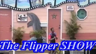 The Flipper Show May 1995 at Miami Seaquarium Miami, FL