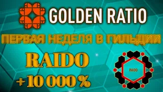 1 неделя в гильдии Raido +10 000% Golden Ratio  Матрица золотого сечения Wecco WEC RA заработок