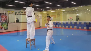 Taekwondo - Wood Breaking (Green Blue Belt to Black Belt)