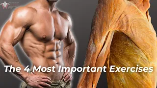 The 4 Most Important Exercises Everyone Should Be Doing