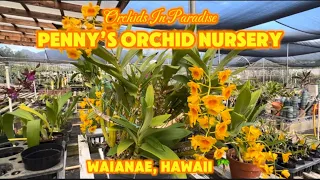 Penny’s Orchid Nursery Waianae, Hawaii 🌴