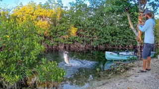 Back Yard Tarpon Fishing