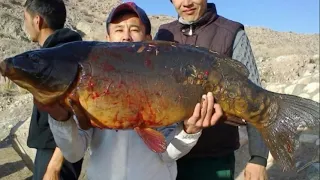 Рыбалка на озере  Иссы́к-Ку́ль. Жемчужина Киргизии.