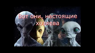 Диалог с ИНСАЙДЕРОМ | Организация TLS, пришельцы, 500 летние люди.