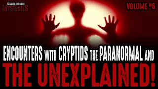 Encounters With Cryptids & The Unexplained - Volume #6