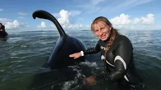 Ingrid Visser - The Whale Sanctuary Project - Uber Group Case Study 4