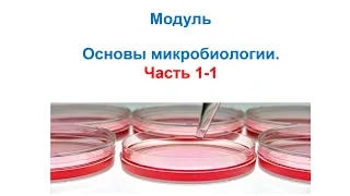 Основы микробиологии. Часть 1-1