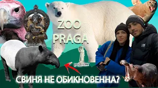 ЗООПАРК ПРАГА ЧЕШСЬКА РЕСПУБЛІКА /VLOG/