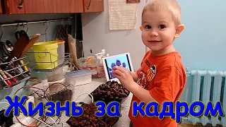 Жизнь за кадром. Обычные будни. (часть 390) VLOG (12.23г.) Семья Бровченко.