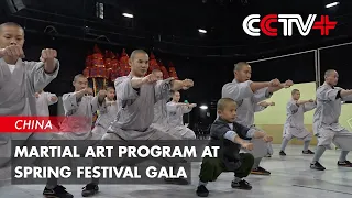 Martial Art Program at Spring Festival Gala Presents Audience with China's Traditional Culture