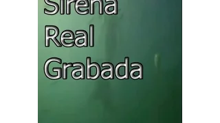 Sirena real grabada - LAS SIRENAS EXISTEN 1