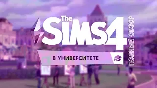 [TS4] ПОЛНЫЙ ОБЗОР ДОПОЛНЕНИЯ "В УНИВЕРСИТЕТЕ"