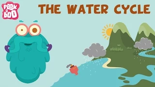 The Water Cycle | The Dr. Binocs Show | Learn Videos For Kids