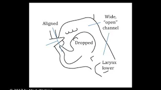 Chapter 6: 01 LOW NOTES Embouchure   Vocal Tract Combinations