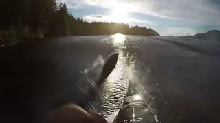 Sea Kayak Surfing an XL Standing Wave (Skookumchuck @ 16.8 Knots) GoPro POV