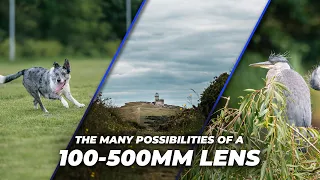 The Many Possibilities of a 100-500mm Lens | Tutorial Tuesday
