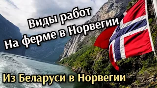 Виды работ на ферме в Норвегии.