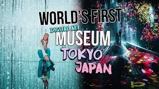 WORLD’S FIRST DIGITAL ART MUSEUM: teamLAB Borderless TOKYO JAPAN