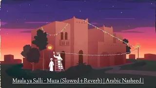 Maula ya Salli - Muza (Slowed+Reverb) | Arabic Nasheed | 