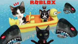 Gato jugando a juego del tiburón en SHARKBITE Roblox / Videos de gatos Luna y Estrella en español