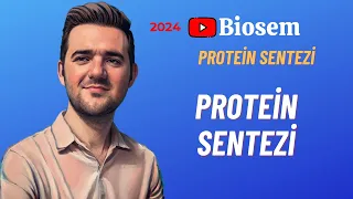 Protein Sentezi - Genden Proteine | Konu Anlatımı 12. Sınıf Biyoloji YKS 2024