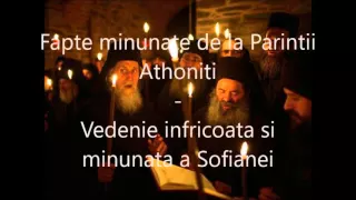 2 Vedenie infricosata si minunata a Sofianei - Fapte minunate de la Parintii Athoniti