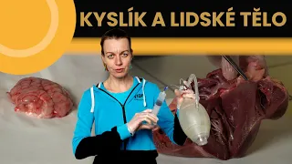 KYSLÍK A LIDSKÉ TĚLO - Dana Hladká