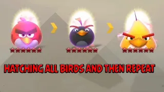 Angry Birds Evolution Bird Festival - Hatching All Six Star Birds and Event Battle #angrybirds