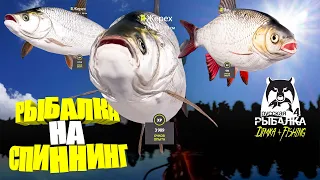 Русская рыбалка 4.🎣🦈 р. Сура 🐬🐬🐟💦 РЫБАЛКА на СПИННИНГ от LATORSO 👀