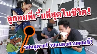 เอาที่สบายใจ : ลูกอมอะไรรสชาติเหมือนแมลงสาบผสมขี้! พร้อมรีวิวช็อกโกแลตดีๆจาก 3 ประเทศ