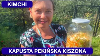 KIMCHI - KISZONA KAPUSTA PEKIŃSKA