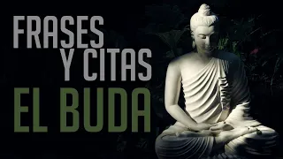 FRASES Y CITAS: El Buda (siddhārtha gautama)