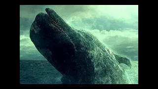 Documentari-A Caccia Di Mostri -La Vera Moby Dick