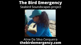 BE - 052 Seabird Soundscapes with Aline Da Silva Cerqueira