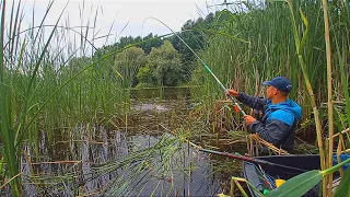 ДА СКОЛЬКО ЗДЕСЬ РЫБЫ В ЭТОМ БОЛОТЕ.Рыбалка на боковой кивок