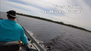 River Fishing: St  Marks, Florida