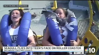 WATCH: Seagull Flies Into Teen Girl's Face on Jersey Shore Theme Park Ride