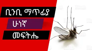 Ethiopia ቢንቢ ለማጥፋት ይሄን ተጠቀሙ insect life hack