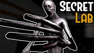 SCP: Secret Laboratory - To Play Is To Suffer
