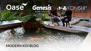 Modern Koi Blog #5635 - Live aus Japan: Wie hoch sind die Betriebskosten der Teiche in Japan?