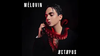 MELOVIN - Expectations