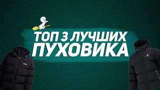 ТОП 3 ЛУЧШИХ ПУХОВИКА НА ЗИМУ 2024