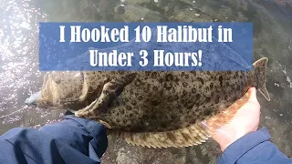 I Hooked 10 Halibut in Under 3 Hours! Surf Fishing for Halibut with Lures